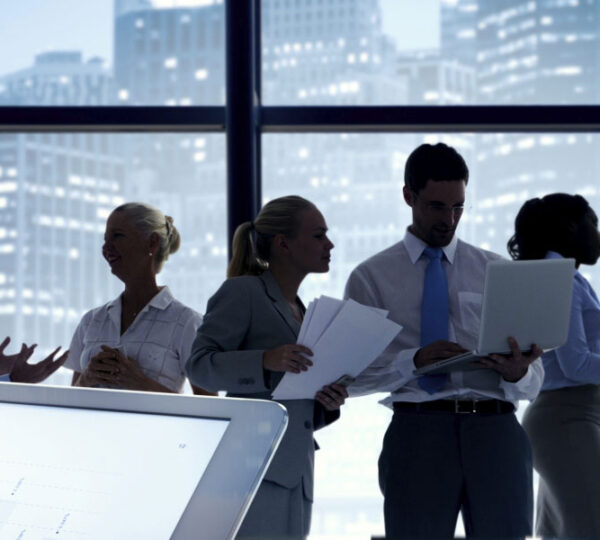 Bull Tax Accountants