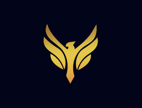 Professional Accounting & Tax