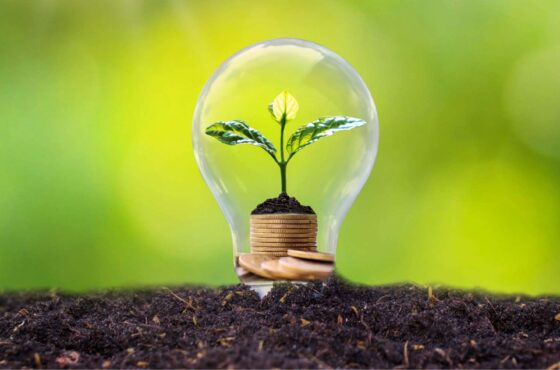 LIC Accountants & Advisors