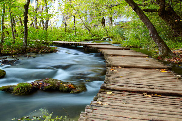 Johnson Mowdy Associates