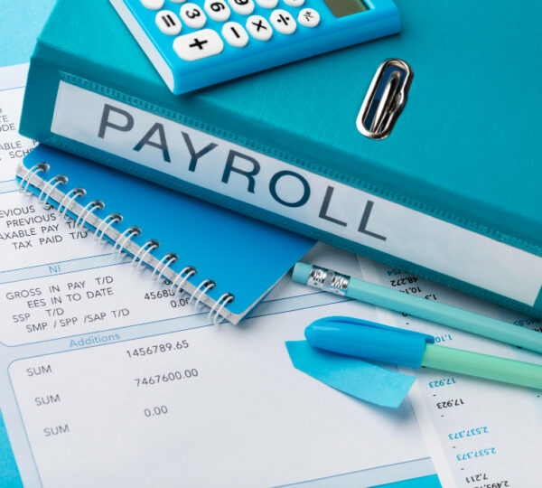 Black Ink Tax & Accounting Services