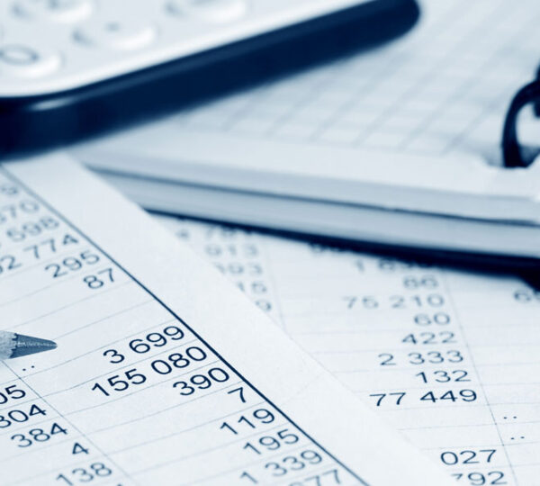 Vizhnay Accounting & Tax Services