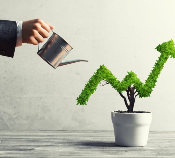 Satty, Levine & Ciacco, CPAs, P.C.