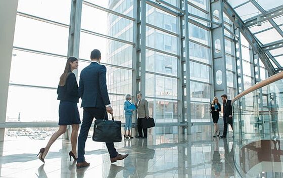Steinberg Shebairo LLP