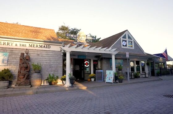 Jerry and The Mermaid