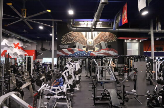 Pro-Fit