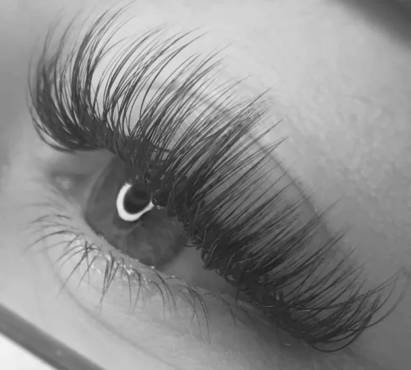 Iconic Beauty New York