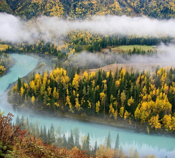 K&M International Travel Inc.