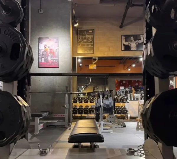 Mid City Gym