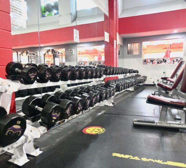 The NYC Fitness Club