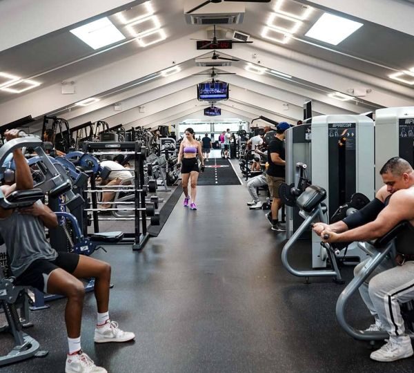Vibe Fitness BQE