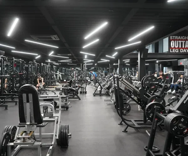 Vibe Fitness BQE