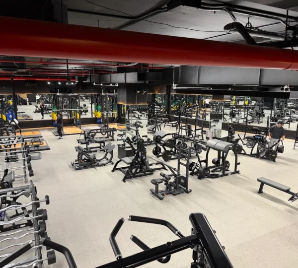 Rock Fitness Roosevelt
