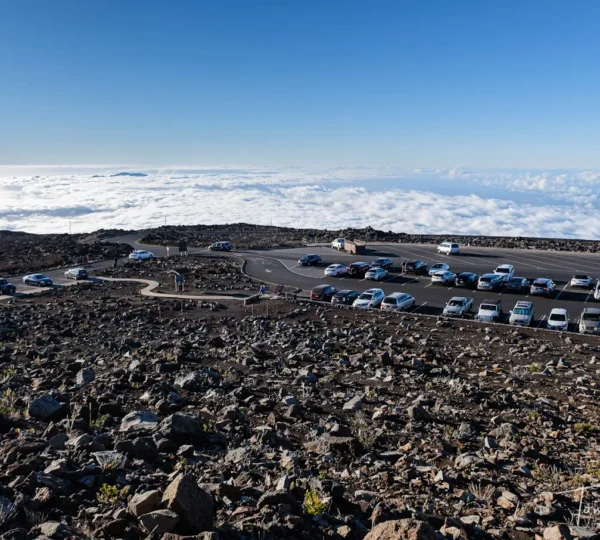 Project Expedition
