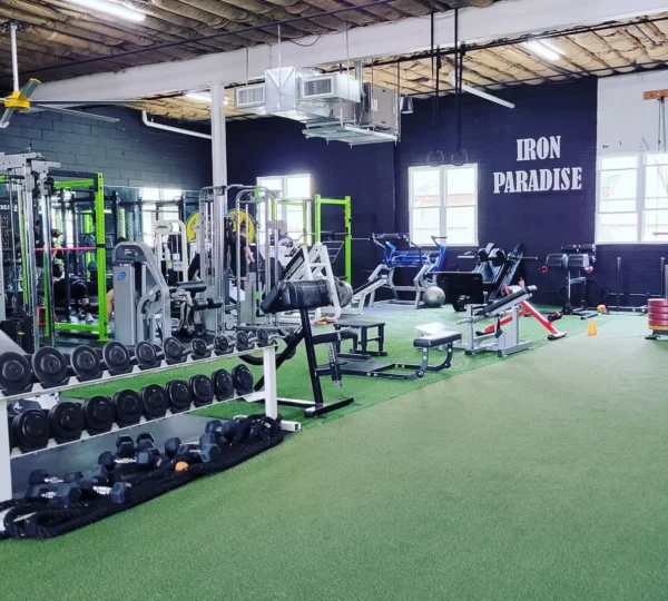 Siege Athletics